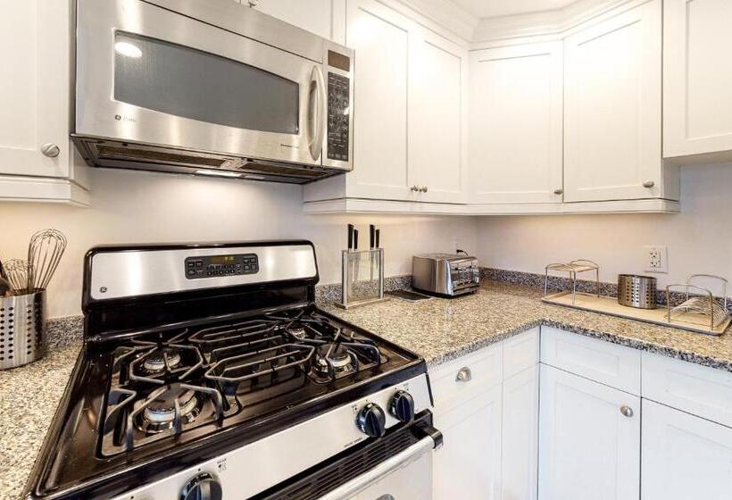 هتل Penthouse On Commercial