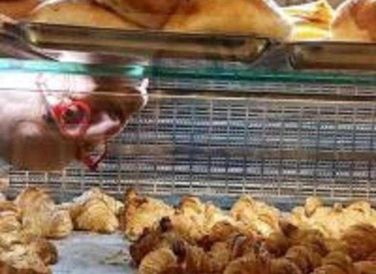 تختخواب و صبحانه Guendalina Sweet Home   La Casetta Di Guendalina