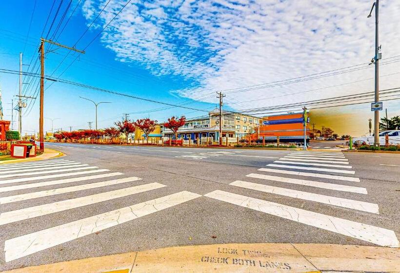 فندق Town Of Dewey Beach    The Opal #306s