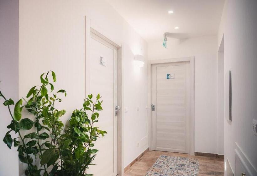 膳宿费 Villa Le Palme