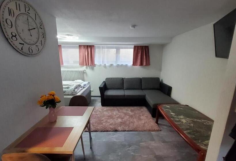 پانسیون Brodovskiy  Apartment