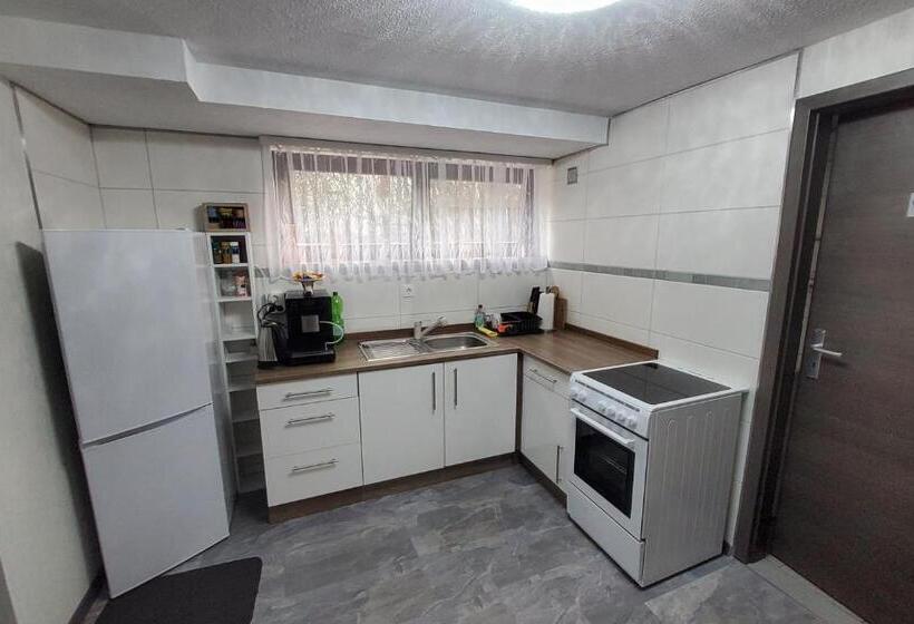 پانسیون Brodovskiy  Apartment