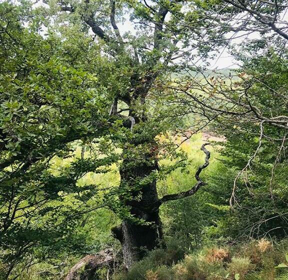 호텔 Rural Teodosio De Goñi