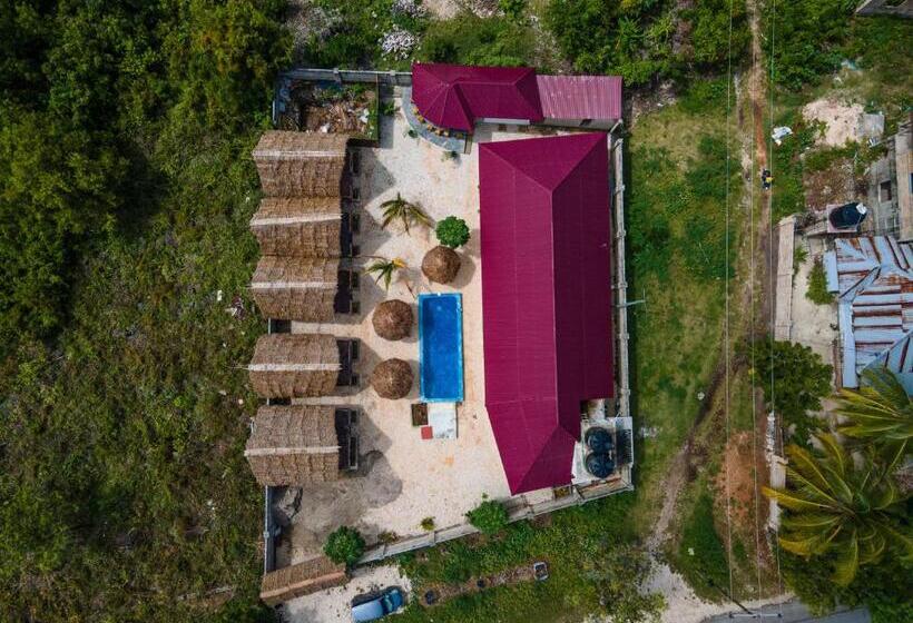 Vinney S Hostel