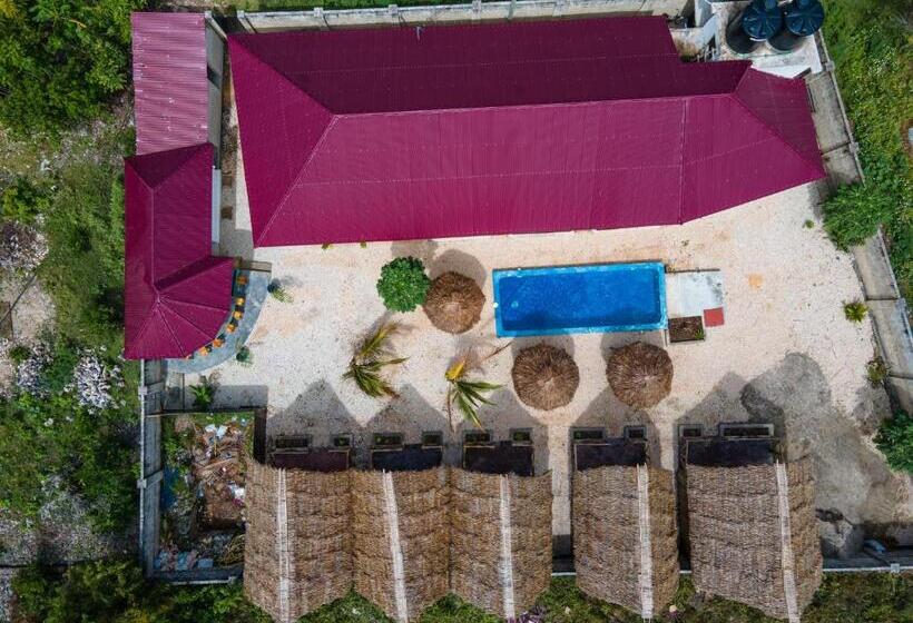 Vinney S Hostel