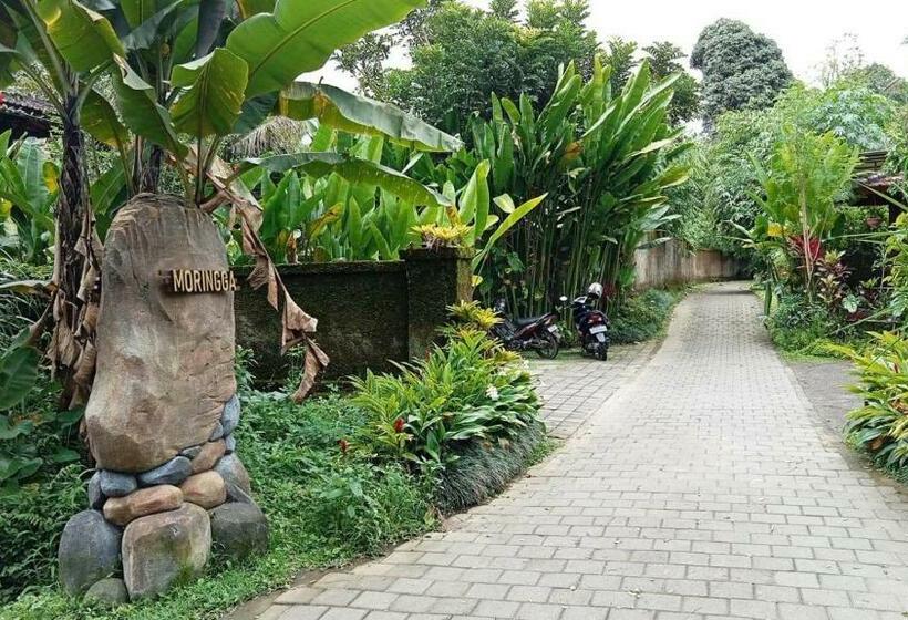 민박 Moringga Ubud