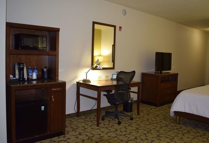 هتل Hilton Garden Inn Rochester Downtown, Ny