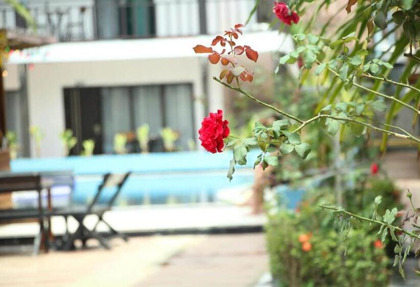 هتل Confetti Garden Resort