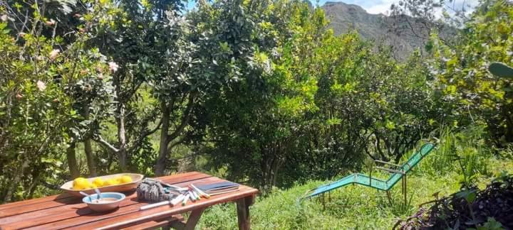 پانسیون Matilda Ec