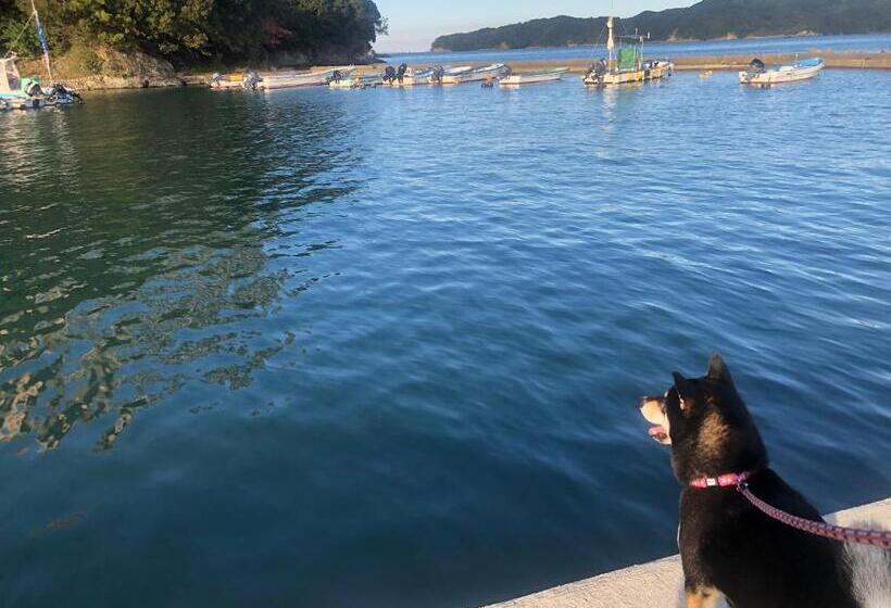 پانسیون 桃源郷2