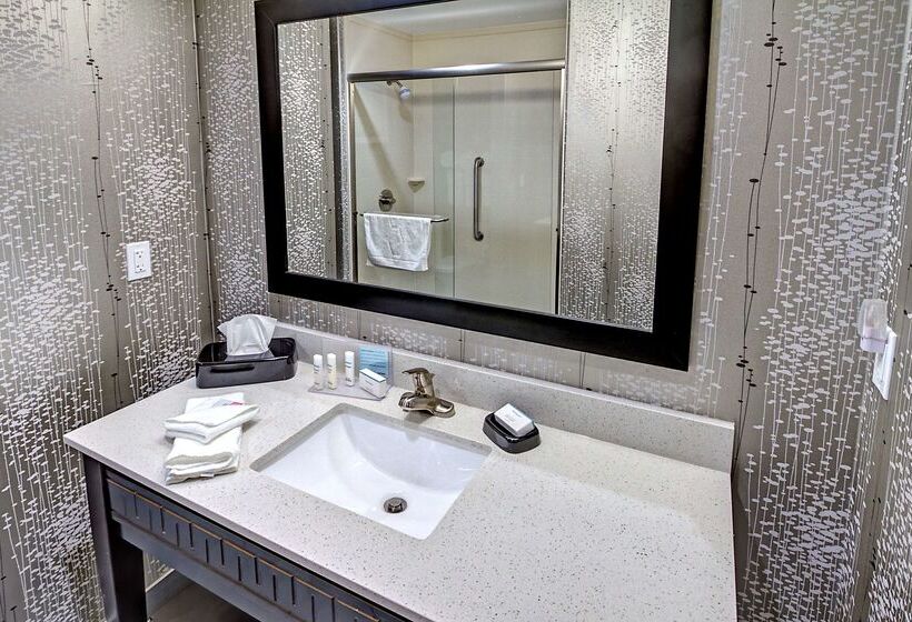 فندق Hampton Inn & Suites Ada
