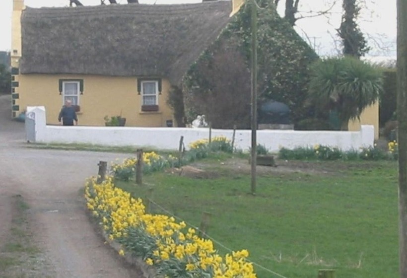 Knights Haven B&b