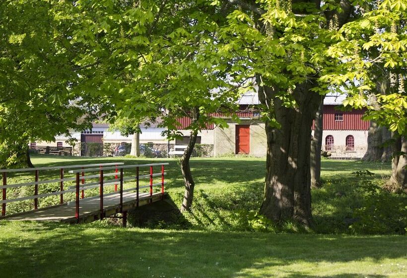 Rønhave