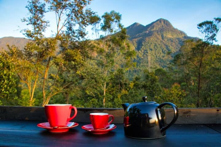 ホテル The Backyard Balangoda