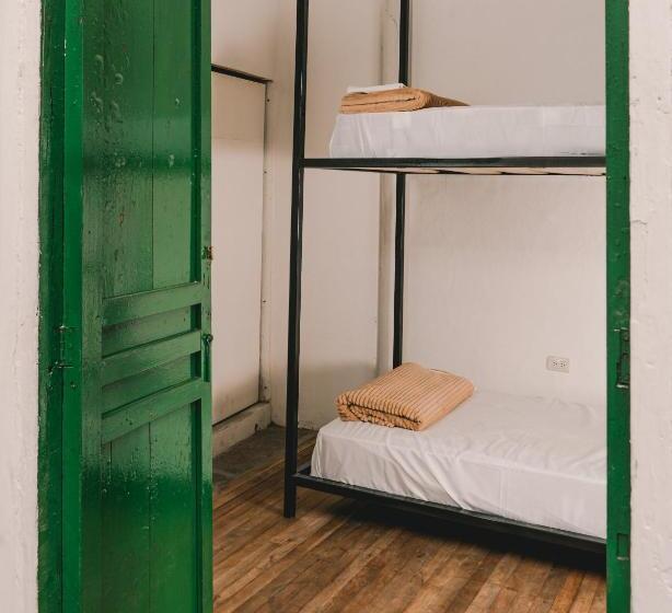 Wild Monkey Hostel