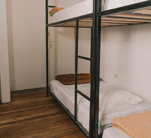 Wild Monkey Hostel
