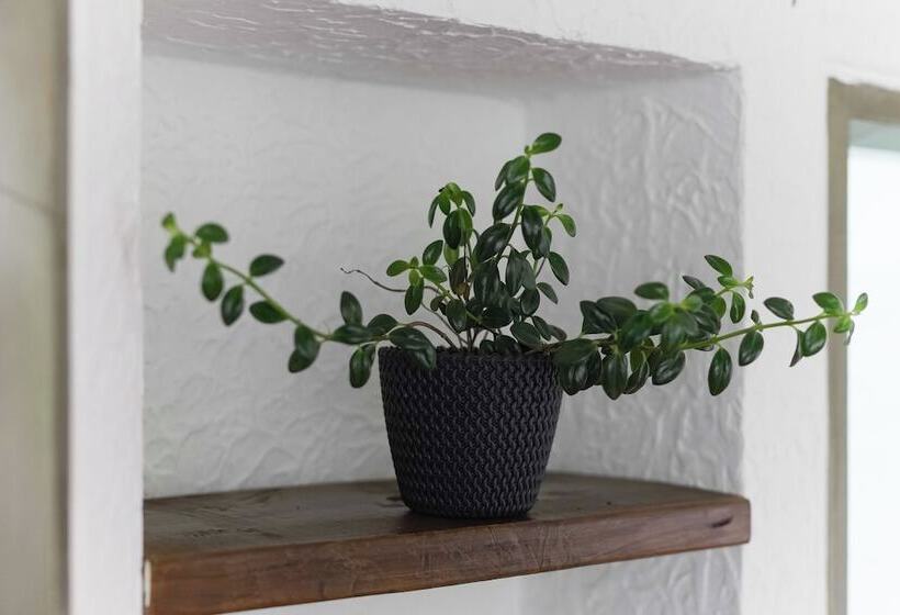 هتل Chalet La Sofia By Majuva