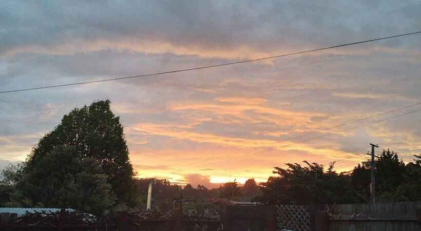 تختخواب و صبحانه Lioness Estate   Dunedin