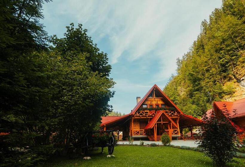 پانسیون Casa Cheile Dâmbovicioarei   Cabana 1