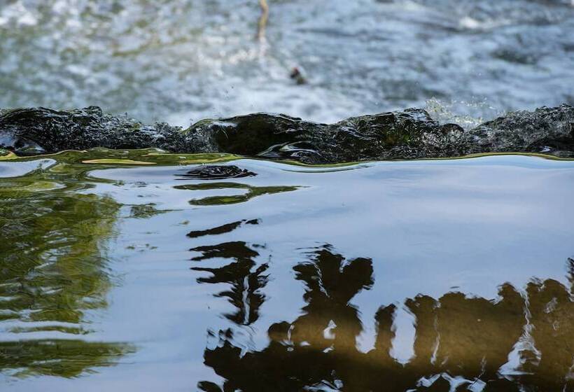 B&b Park7 Wavre   Leuven