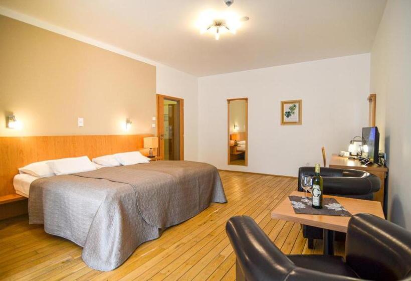 هتل Galant Mikulov