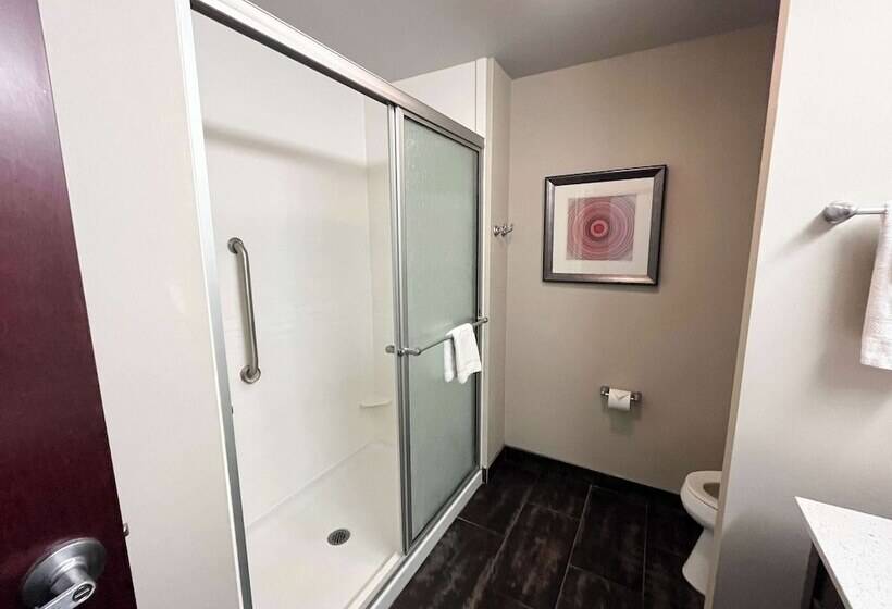 호텔 Quality Inn & Suites