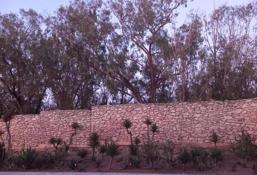 پانسیون Dar Al Manar