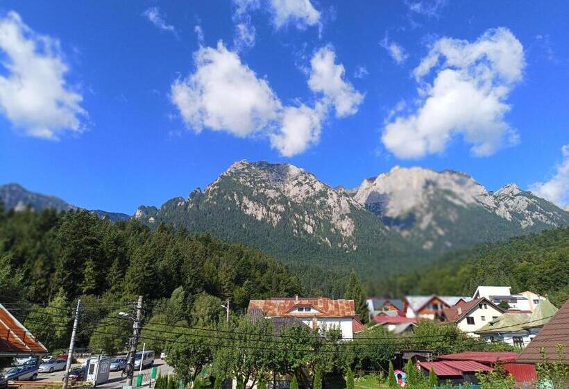 ペンション D&d Busteni