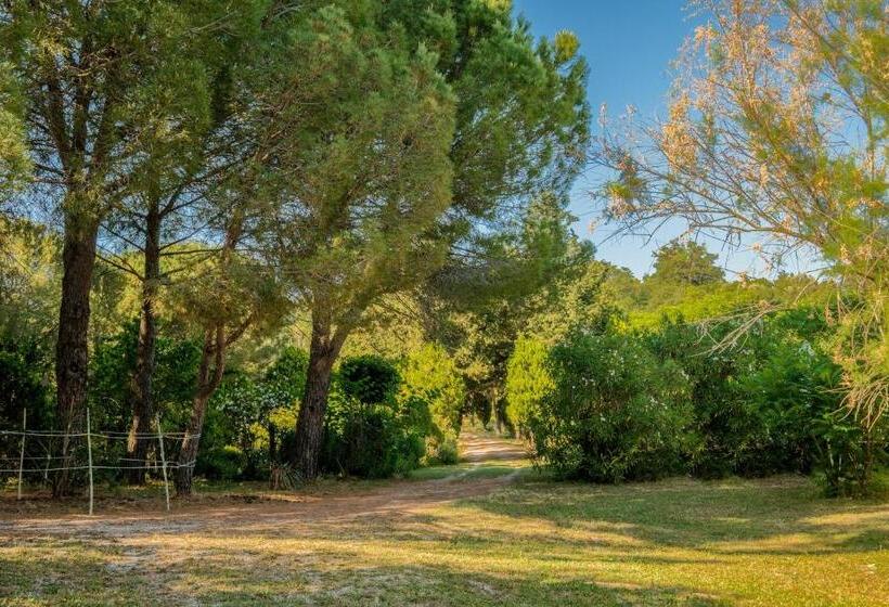 فندق Stella Sud Podere Carbone