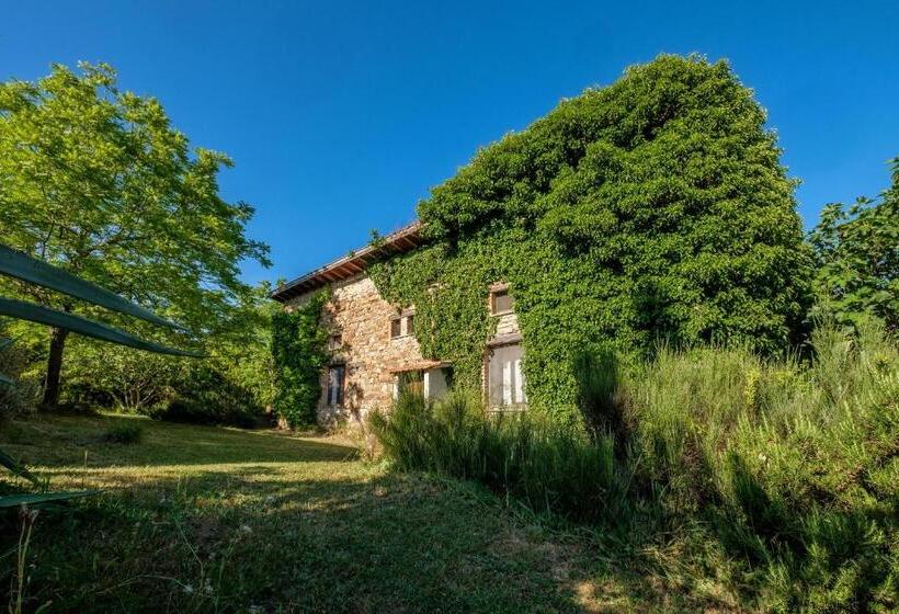 فندق Stella Sud Podere Carbone