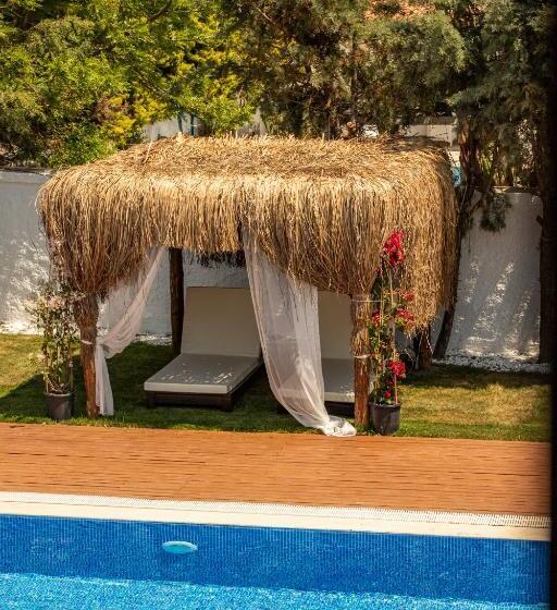 Albeon Luxury Hotel   Alacatı