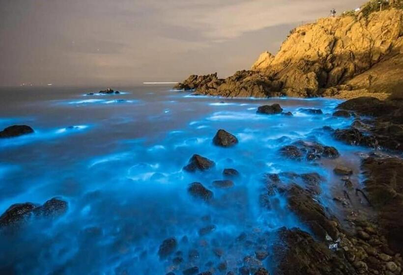 هاستل East Mountain Light Brigade