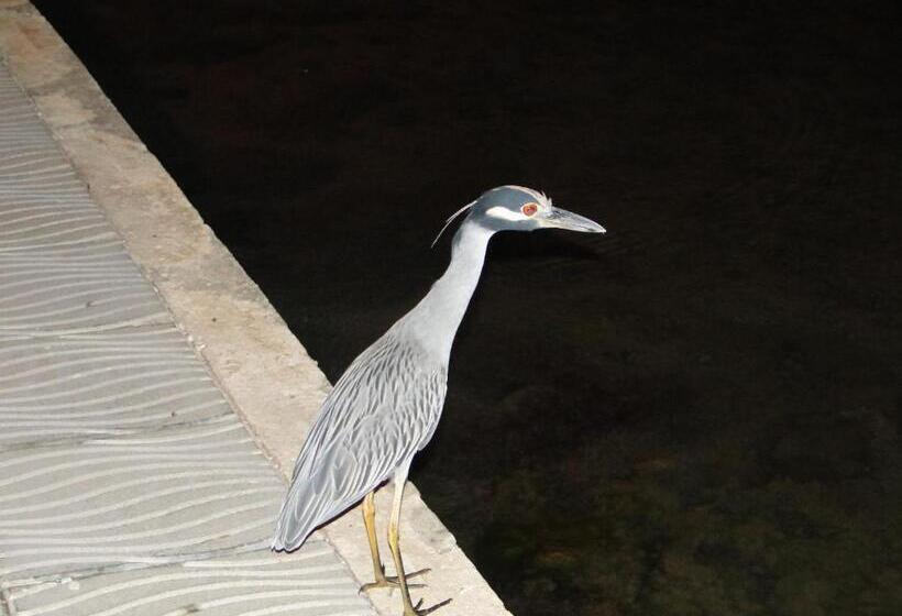 هاستل Posada Sunshine Paradise