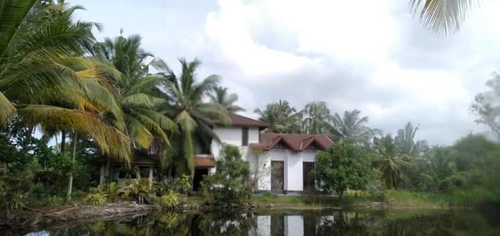 ホテル Lagoon Villa