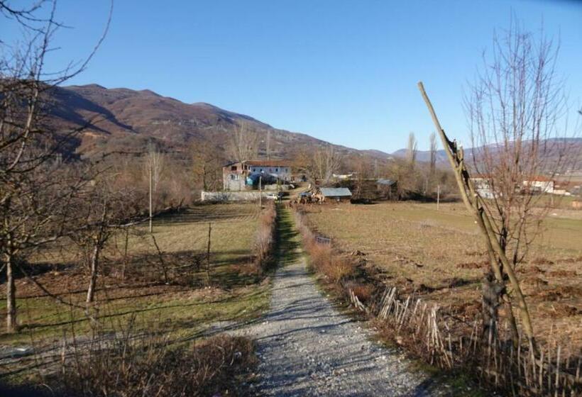 پانسیون Guesthouse Arber