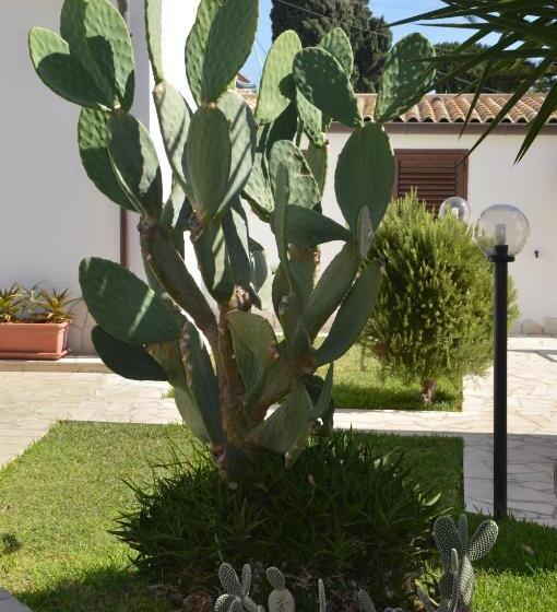 تختخواب و صبحانه Mare E Sole Villa Urso