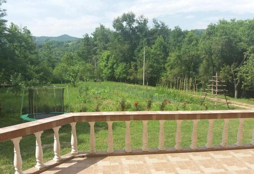 پانسیون Casa Dobrin
