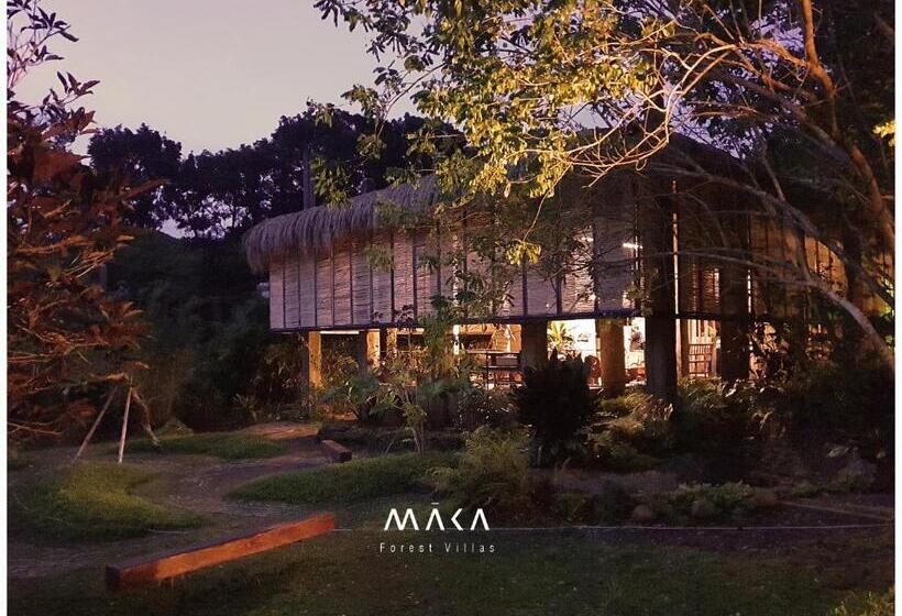 مبيت وإفطار Maka Kalinaw 6 Wabi Sabi Room, Forest And Garden View