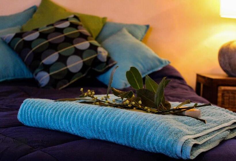 مبيت وإفطار Tomah Retreat   Studio Breathe With Fireplace