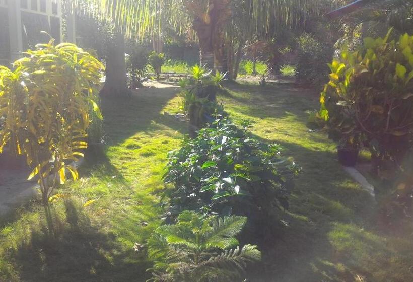 بنسيون Bintang Wisata Riung