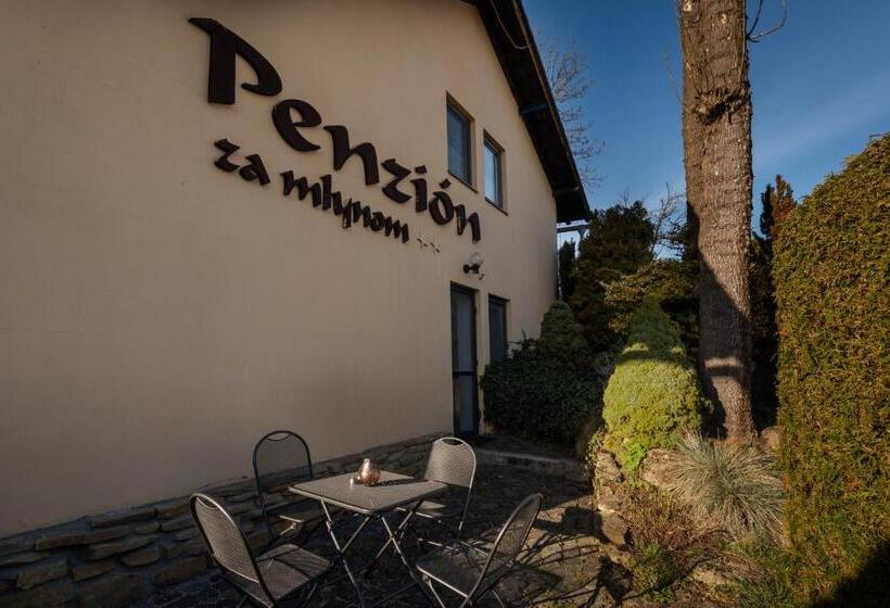 膳宿费 Penzion Za Mlynom