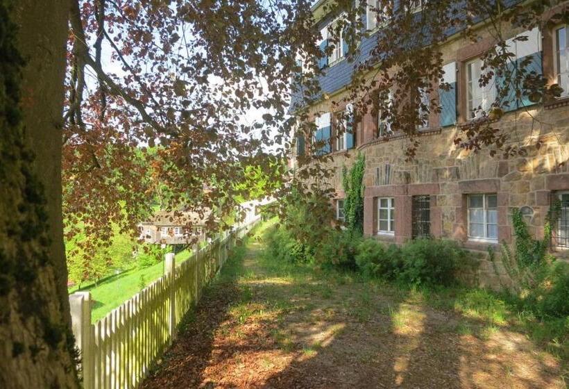 Hostel Morgentau Appartement