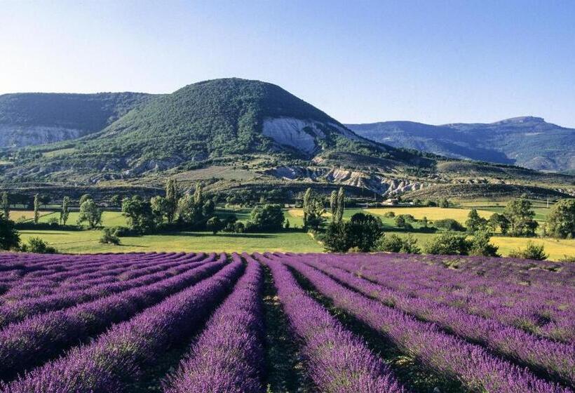 민박 Coeuraccords, Spa & Bien être Au Calme Naturiste Toute L Année