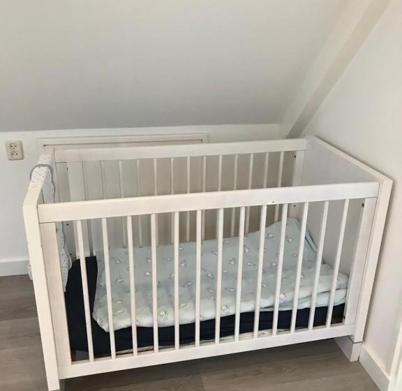 مبيت وإفطار De Fugelsang