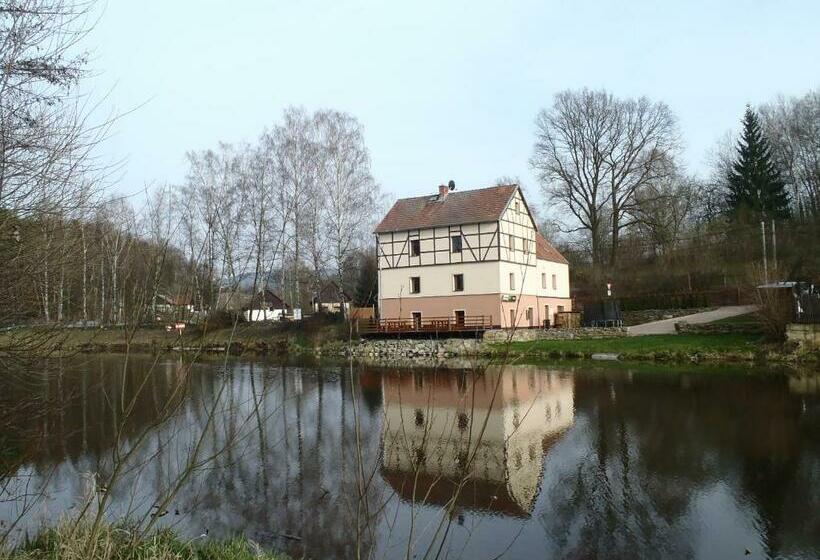 ベッドアンドブレックファースト Penzion Cerny Mlyn Sokolov