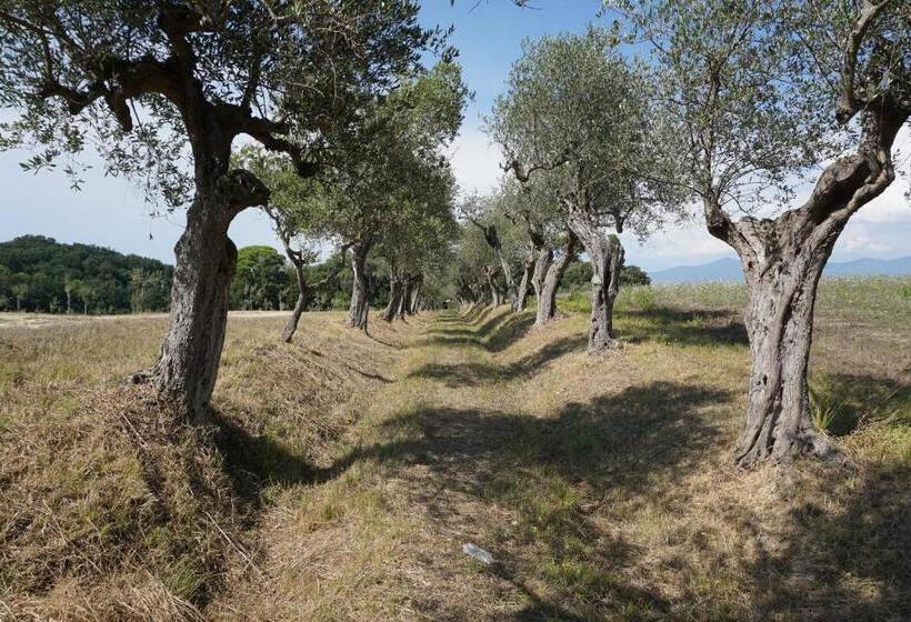 호텔 Agriturismo Cheloni