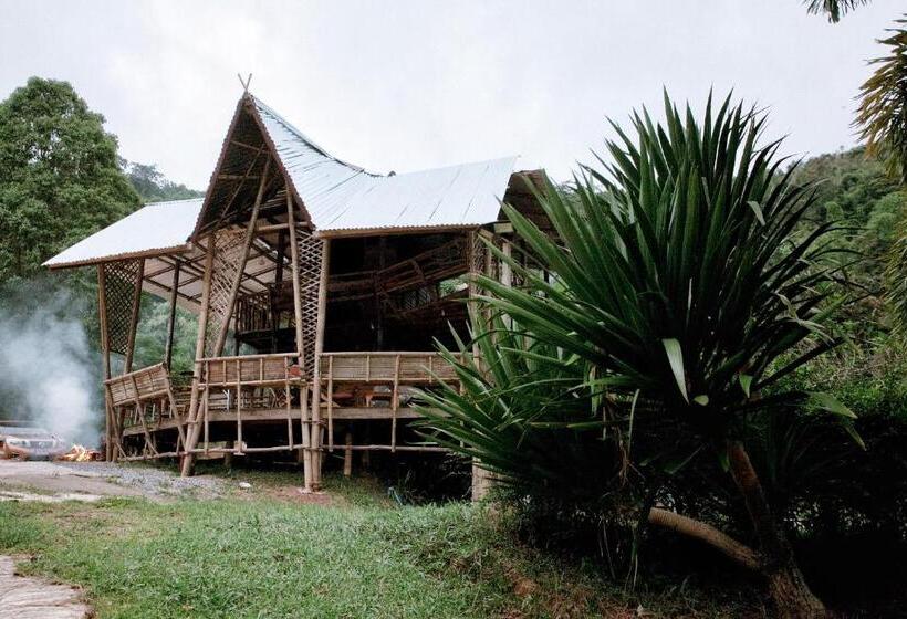 هتل Khaokhopimphupha Farmstay เขาค้อพิมภูผาฟาร์มสเตย์ ไม่มีไฟฟ้า น้ำจากน้ำตกธรรมชาติ Low Cabon With Sust