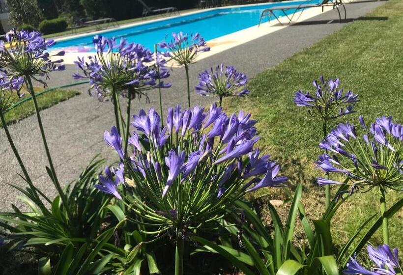 호텔 Pinheirinhos   Quinta De São Caetano