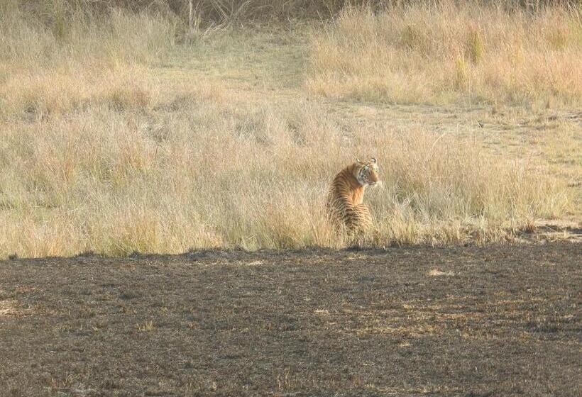 호텔 Saccharum Safari Lodge