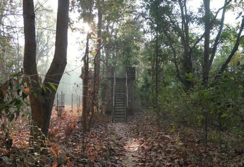 호텔 Saccharum Safari Lodge